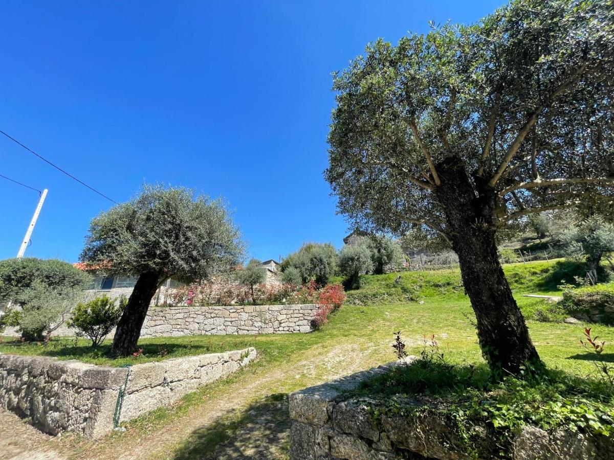 Casa Botica - Geres Country House Terras de Bouro Exterior photo